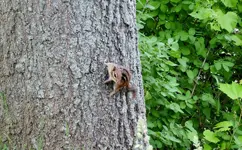 K1600_DSCN2430.webp