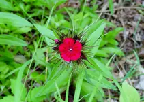 K1600_DSCN2429.webp