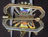 Rho Chi back.webp