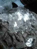 unnamed (4).webp