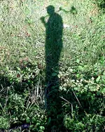 IMG-20130804-00767.webp