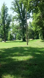 IMG_20170527_113444_956.webp IMG_20170527_113444_956.webp