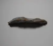 DSCN0261.webp