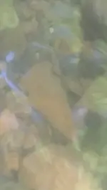 Screenshot_20170515-081226.webp