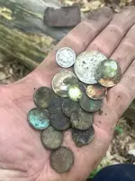 ImageUploadedByTreasureNet.com1496970821.455302.webp