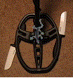GINSU_COIL.gif