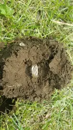 20170530_115452.webp 20170530_115452.webp