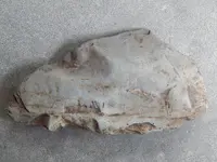 DSCN6578.webp