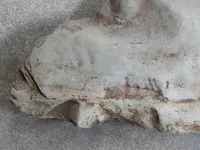 DSCN6579.webp