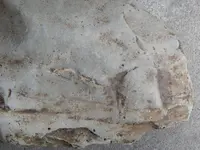 DSCN6581.webp