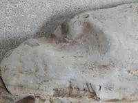 DSCN6583.webp