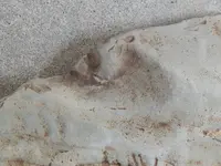 DSCN6586.webp