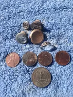 Finds.webp