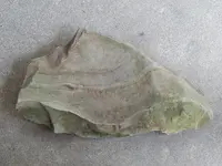DSCN6587.webp