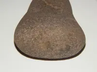 DSCN6568.webp