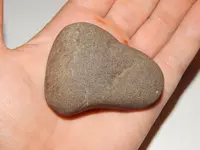 DSCN6576.webp