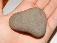 DSCN6577.webp