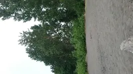 20170618_103137.webp