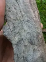 20170717_124740-780x1040.webp
