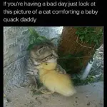 FB_IMG_1496959540998.webp