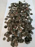 IMG_20170716_095658 (1).webp