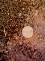 051917192847.webp 051917192847.webp