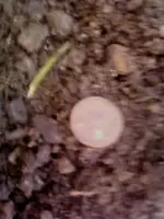 051917200206.webp