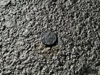 IMG_20170618_082455.webp