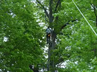 K1600_DSCN2255.webp