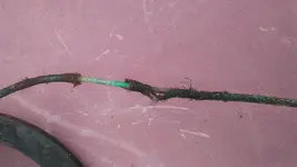20170530_193252.webp