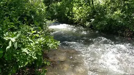 IMG_20170623_113422325.webp