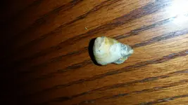 20170516_195330.webp