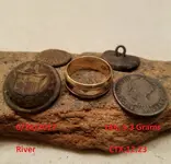 DocBeav 2017 Gold Ring #2.webp DocBeav 2017 Gold Ring #2.webp