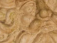 DSCN6592.webp