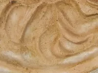 DSCN6593.webp