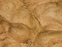 DSCN6594.webp