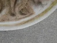 DSCN6595.webp