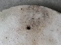 DSCN6597.webp