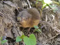 DSCF8747.webp