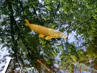 K1600_DSCN2477.webp