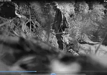 gold hunting.webp
