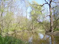 DSCF8757.webp