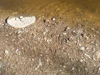 DSCF8761.webp