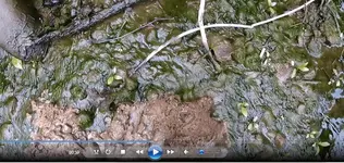 Muddy Picture.webp Muddy Picture.webp