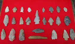 DSCN0417.webp