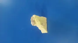 20170531_094249.webp 20170531_094249.webp