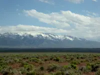 Elko 1.webp