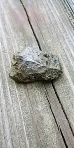 20170517_120442.webp