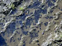 K1600_DSCN2499.webp