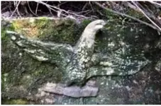 ImageUploadedByTreasureNet.com1499588682.324156.webp